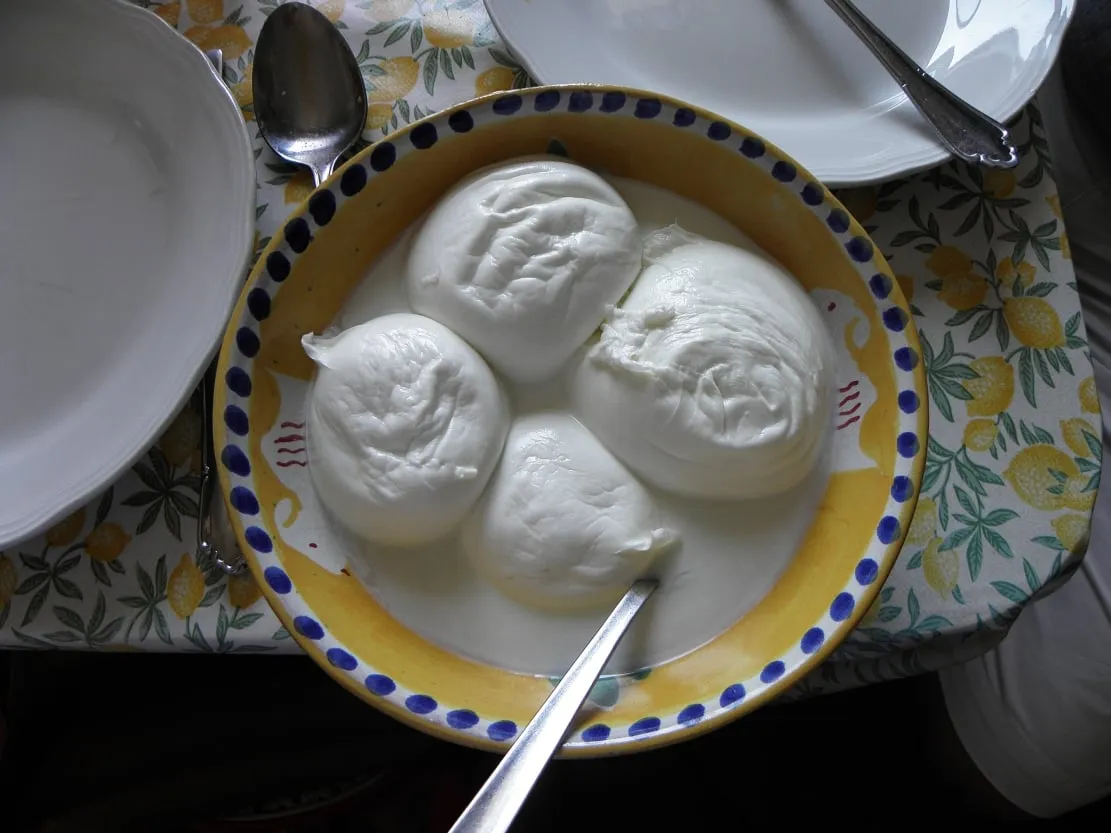 Mozzarella di bufala campana, garniture campanienne d’un hamburger à Naples