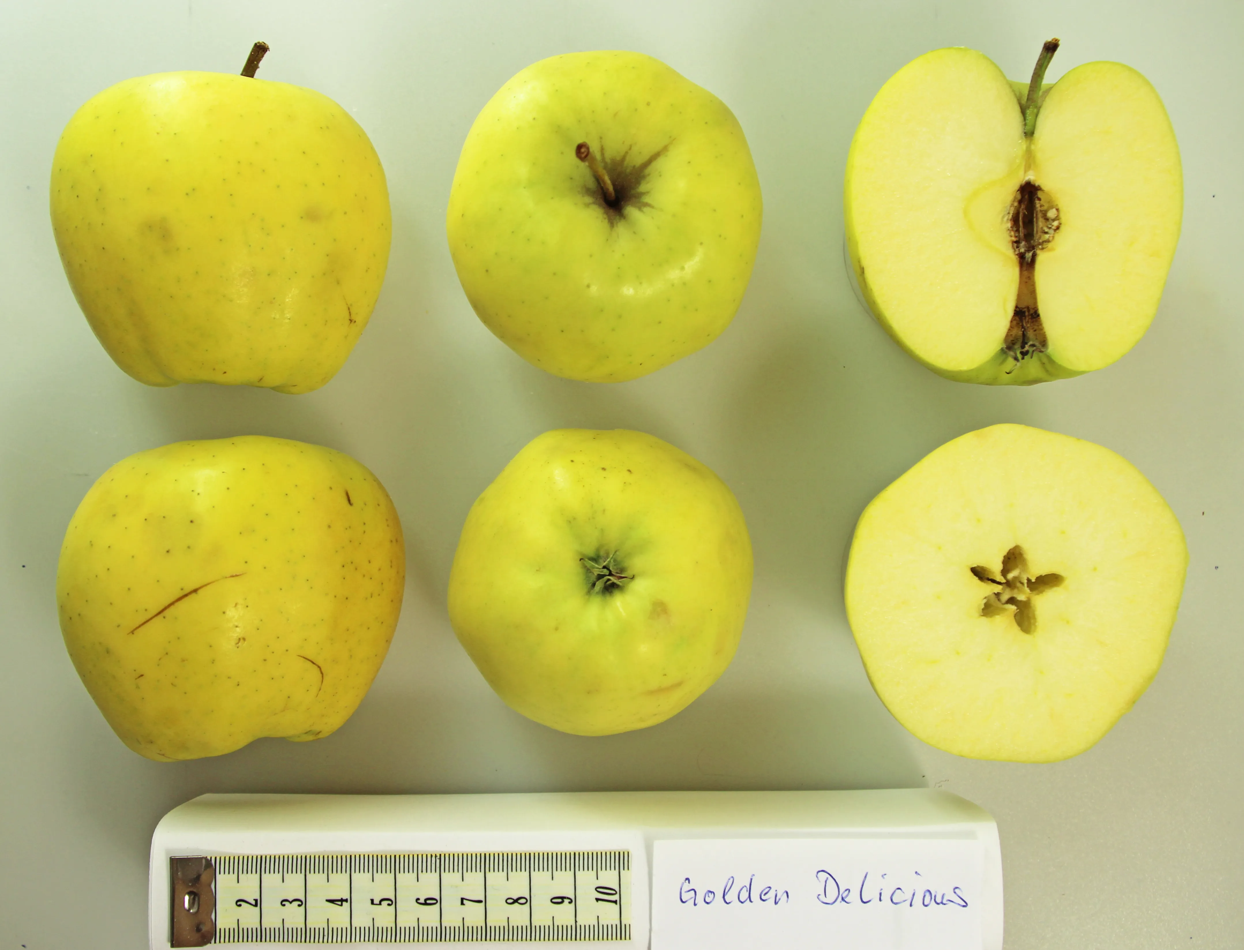Whole and cut Golden Delicious apples, the variety in Burger King France’s King Junior kids’ meal from October 2026