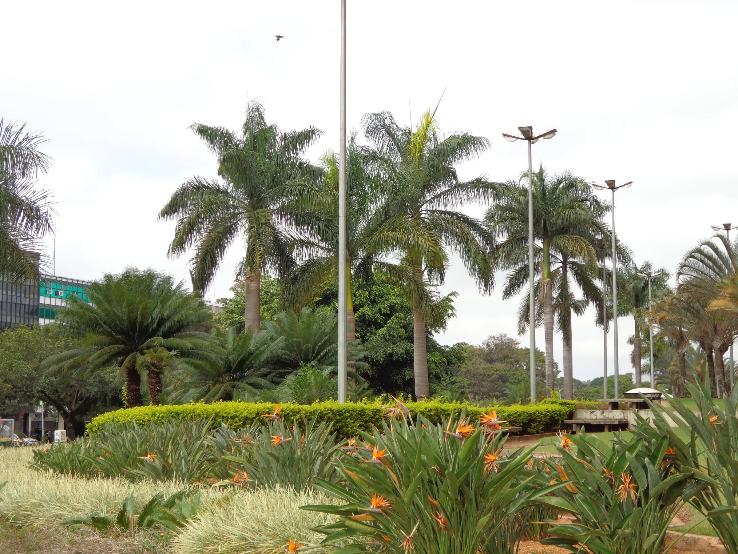 Façade du centre commercial Pátio Brasil dans l’Asa Sul à Brasília, où a ouvert le premier Madero de la ville en 2015