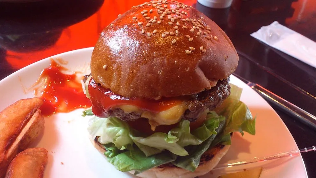 Hamburguesa con queso ilustrativa para la guía verificada de Allen Burger Venture Buffalo en 175 Allen Street