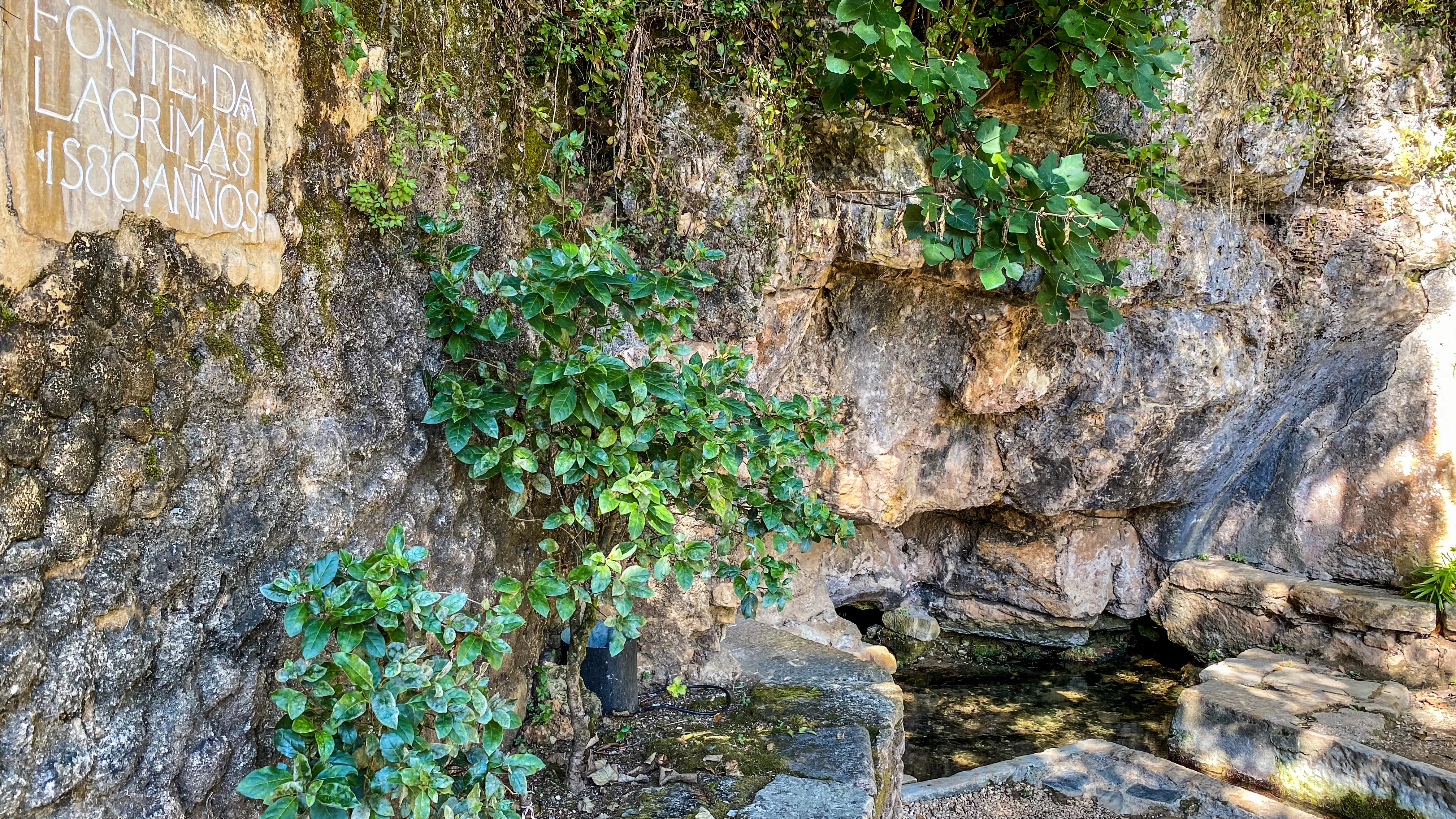 Jardins de la Quinta das Lágrimas à Coimbra, dont le potager et le verger fournissent la cuisine d’Arcadas