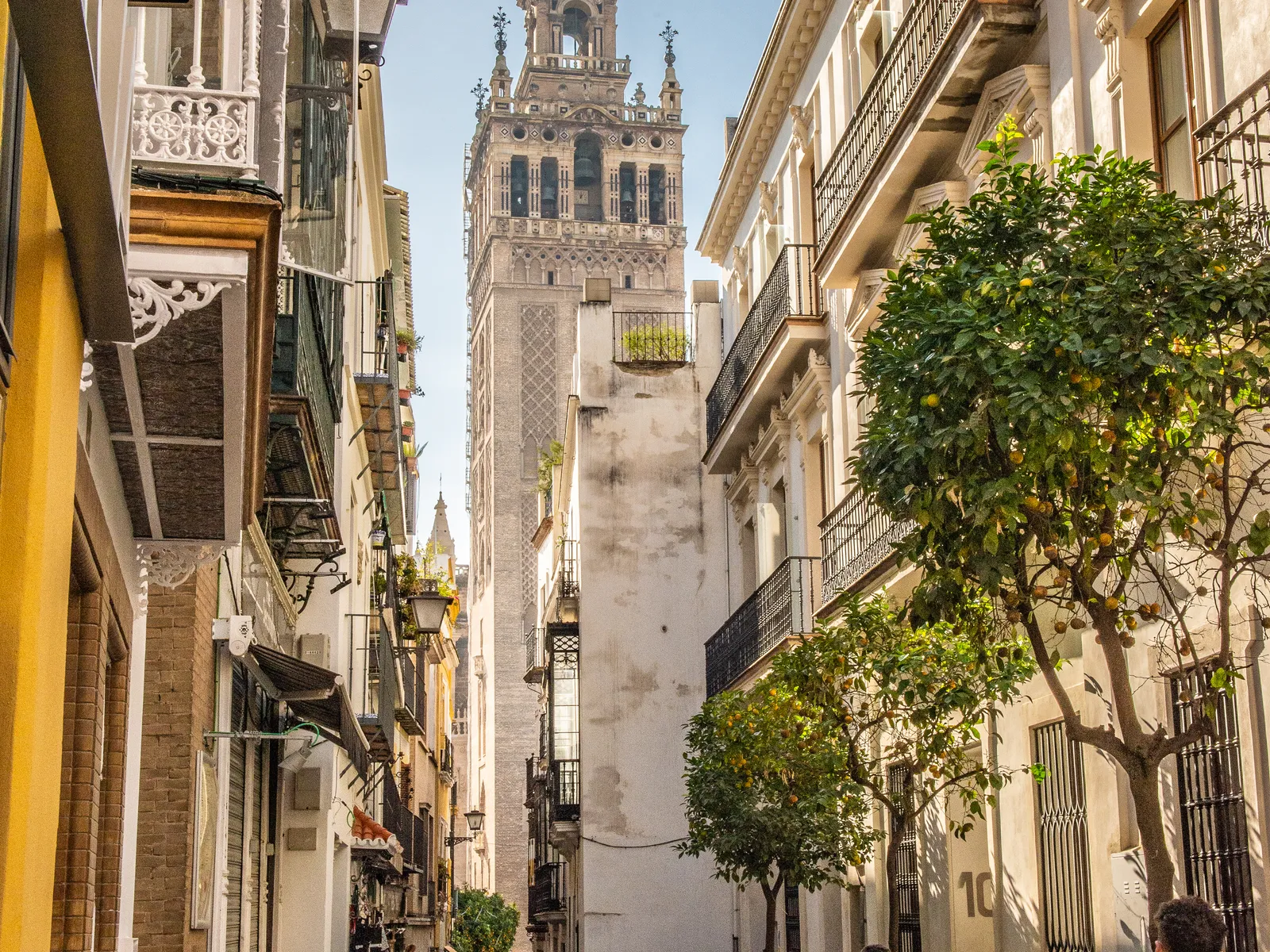 Goiko Seville guide: orange-tree-lined street in Seville's historic centre leading to the Giralda, near Goiko Albareda 14