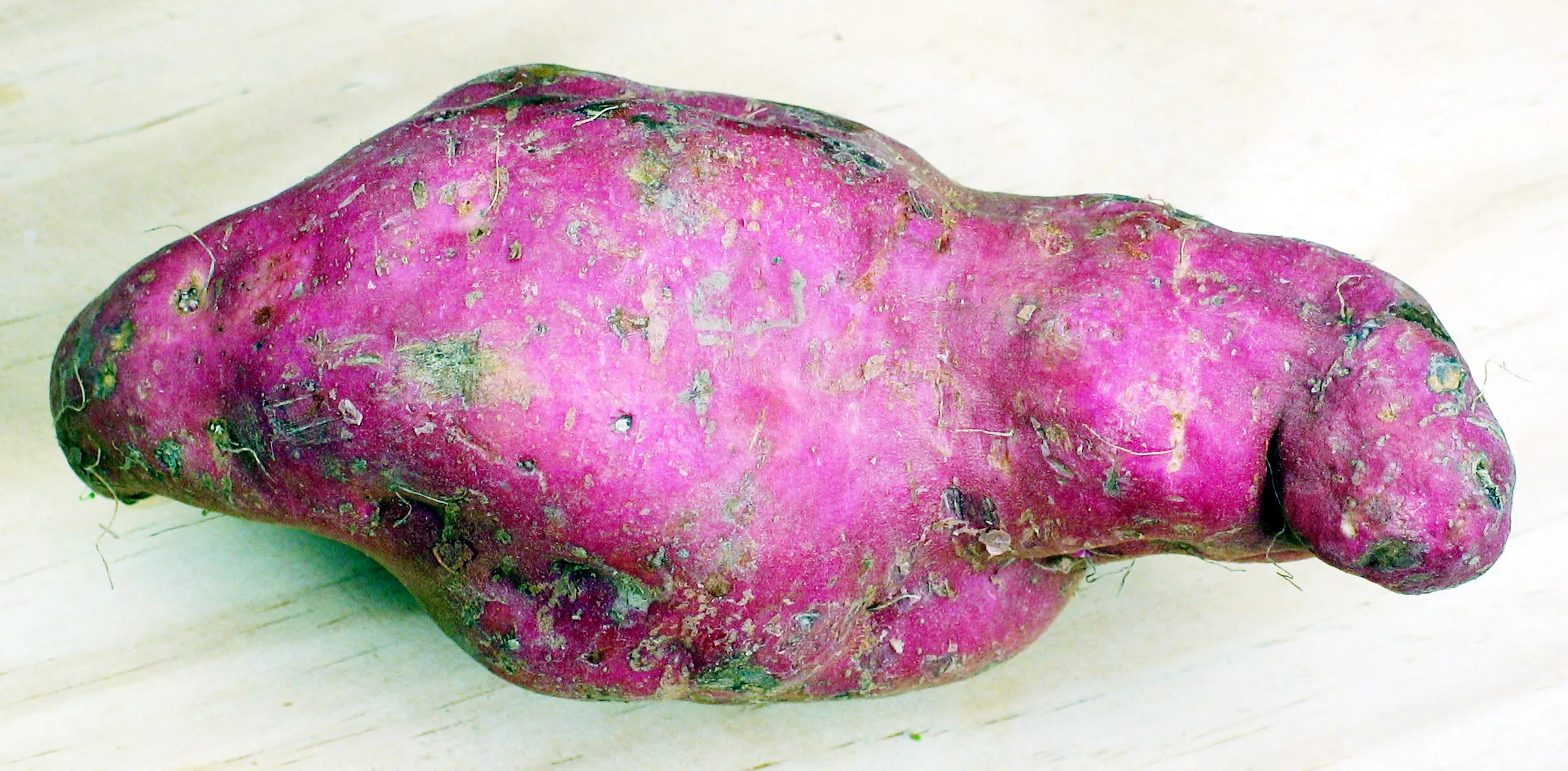 Kūmara, New Zealand’s sweet potato (Owairaka Red variety), the root BurgerFuel cuts into its kūmara fries served with aioli.